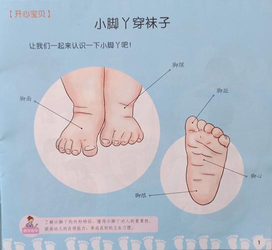 葫芦寺幼儿园小班健康课《小脚丫穿袜子》