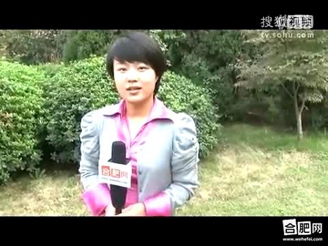 安徽广播电视台公共频道主持人 袁媛-千里眼视频-搜狐视频