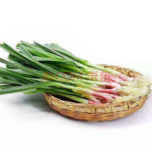 蒜苗新鲜蒜苗批发红根蒜苗青蒜山东发货农家自种21年现挖鲜蒜苗 3斤