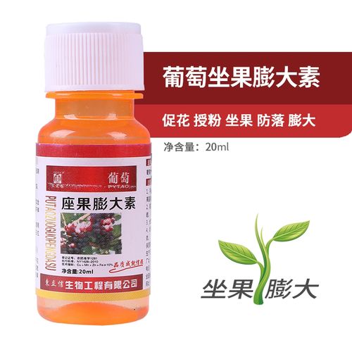 葡萄坐果膨大素膨大剂夏黑膨大技术巨峰葡萄植物生长调葡萄膨大剂
