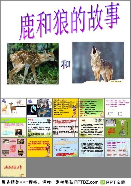 鹿和狼的故事教学设计ppt课件下载