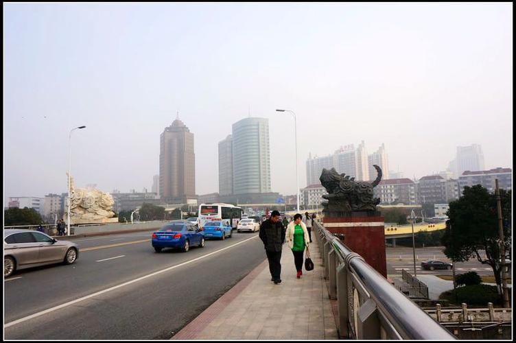 江西游之南昌新八一大桥的白猫黑猫