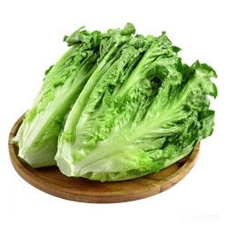 精选罗马生菜