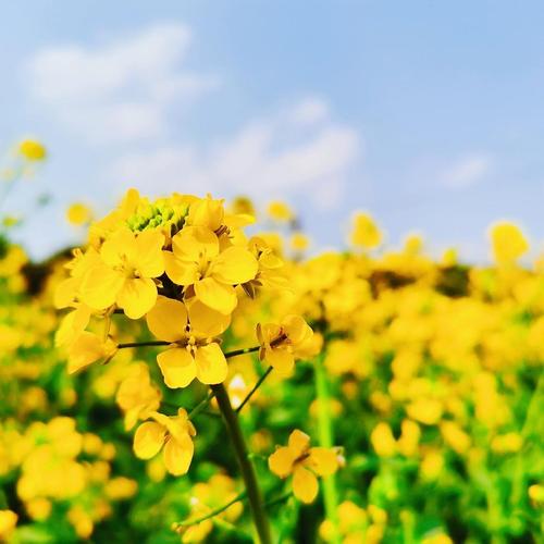 就瞄一眼.春天来了,.