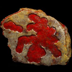 精品昌化鸡血石原石 重2斤 开天窗 血色艳丽