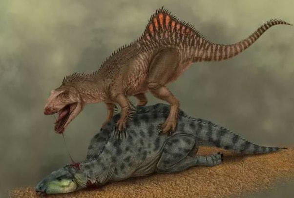 哪种杂食性恐龙最大?
