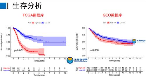 生存分析绘制生存曲线