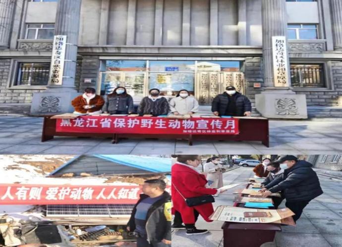 让保护野生动物成为新常态——黑龙江省各地"保护野生动物宣传月"宣传