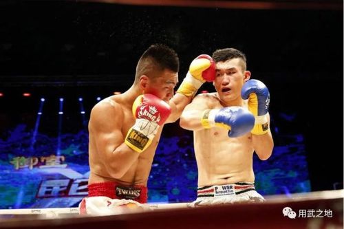 而对阵金东秀战绩更好的,当属"小虎"铁英华和"恐怖小胖"位宁辉.
