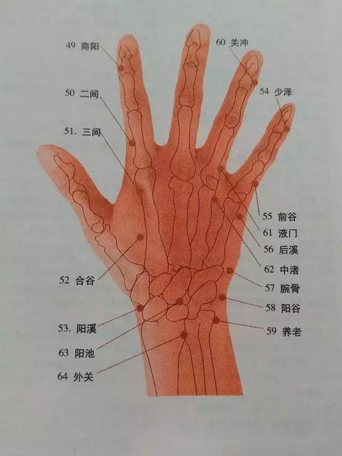 手背穴位
