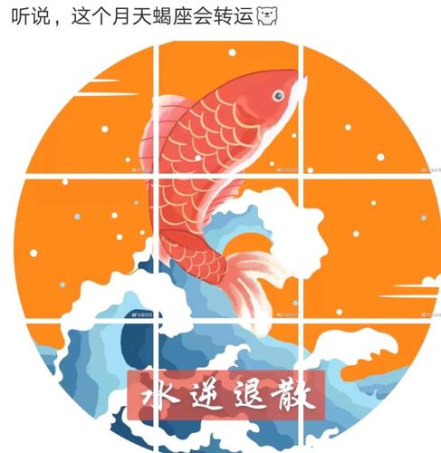 "转锦鲤=不努力?"中北学子大写的不服!