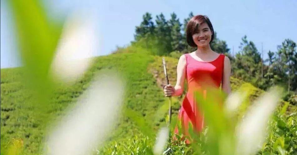 一场"下午茶"讨论引发的茶山众筹 ——专访不知名茶创始人王晓湘