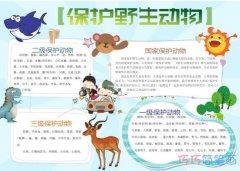关于爱护动植物 保护野生动物手抄报图片简单漂亮