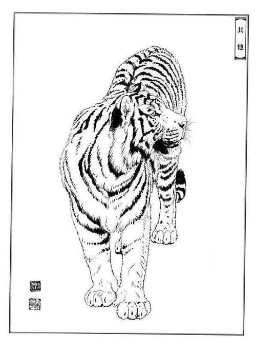 教你画老虎工笔画线稿,多亏老师教我,学会画工笔老虎很简单