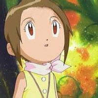  p> b>八神光 /b>(日文原名:八神ヒカリ;大陆旧译,台译:八神嘉儿)是