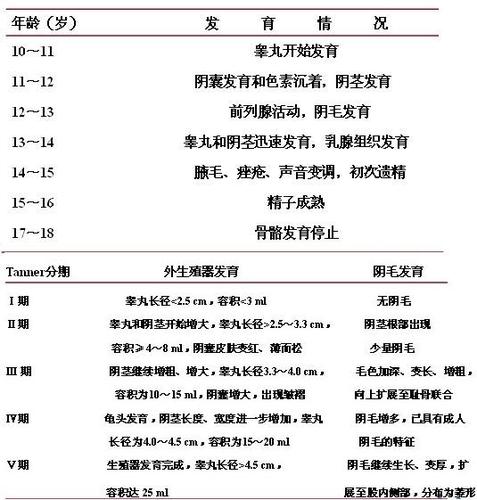 男孩发育怎么分级别