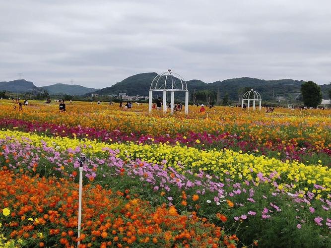 富川神仙湖花海一日游