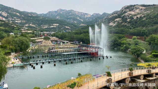 山东平度 秀丽茶山风景区-大泽山大樱珠采摘一日游