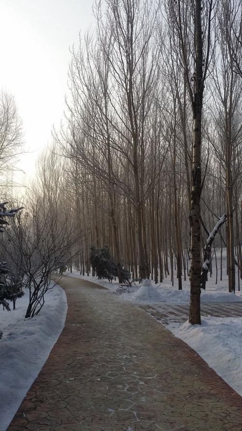 人们被风推搡着或被揪扯着