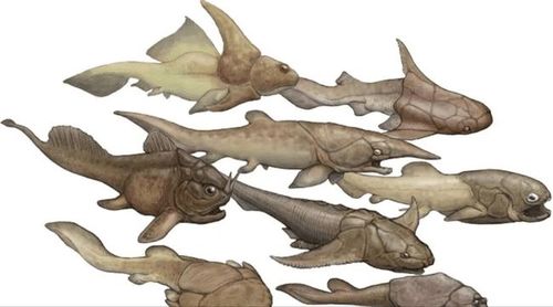 邓氏鱼被蝎族压制了一亿年后它决定用抗争改变命运