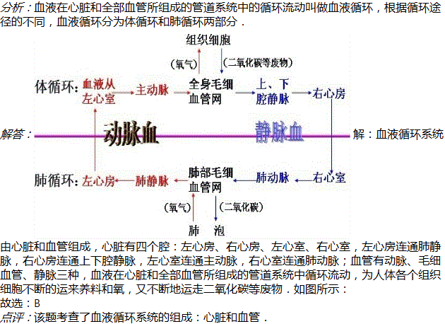 组成血液循环系统的器官包括a血液和血管b心脏和血管c动脉和静脉