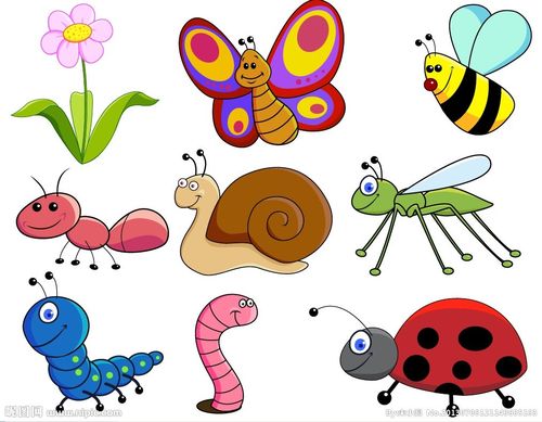 昆虫图片