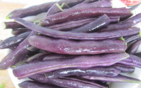 紫芸豆怎么做好吃紫芸豆的食用方法