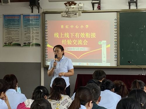 育红小学线上线下有效衔接经验交流会