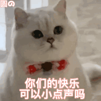 你们的快乐可以小点声吗猫咪表情包猫咪小点声快乐你们表情