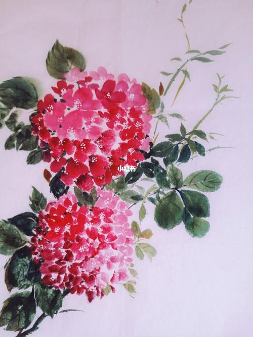 立春94我们一起来画花花,国画没骨绣球花_绘画_牡丹