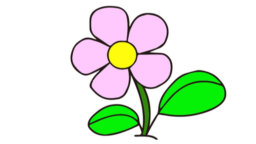花卉简笔画步骤