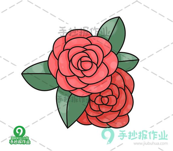 山茶花简笔画
