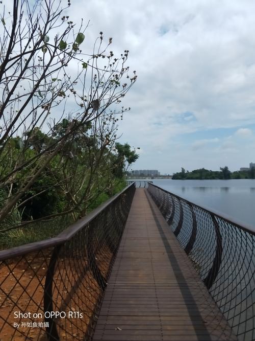 游览美舍河湿地公园沙坡水库