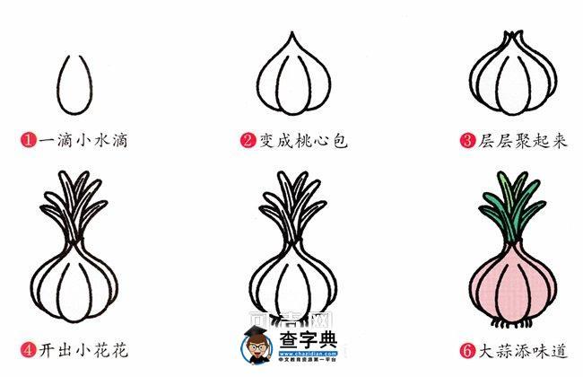 简笔画大蒜的画法步骤_简笔画教案-查字典幼儿网儿童画
