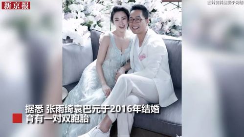 据悉,张雨绮袁巴元于2016年结婚育有一对双胞胎.
