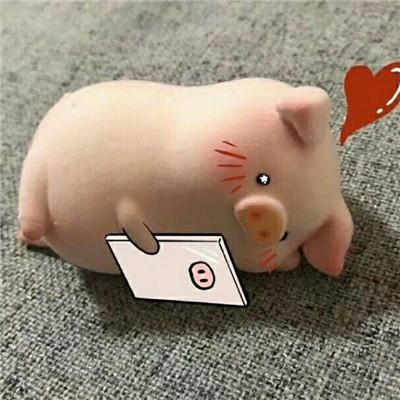 微信一只粉色猪猪表情包超可爱大全