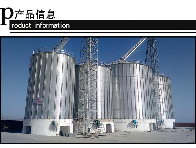 新型全自动粮仓 由大厂制造 立筒设计 省建地面积 可一人操作