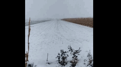 看,桃林镇2018第一场大雪,小伙伴们都乐开了花