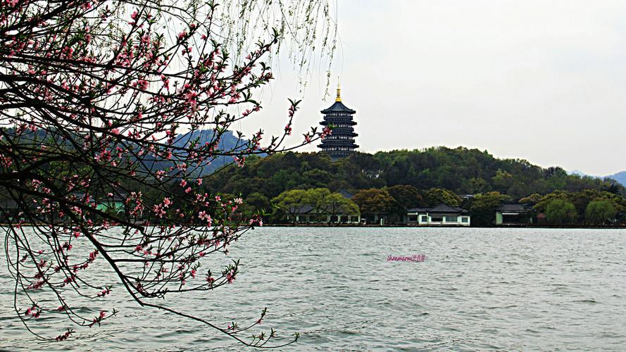 雷峰塔在红桃的陪衬下