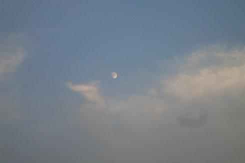 孤雁(外一首)