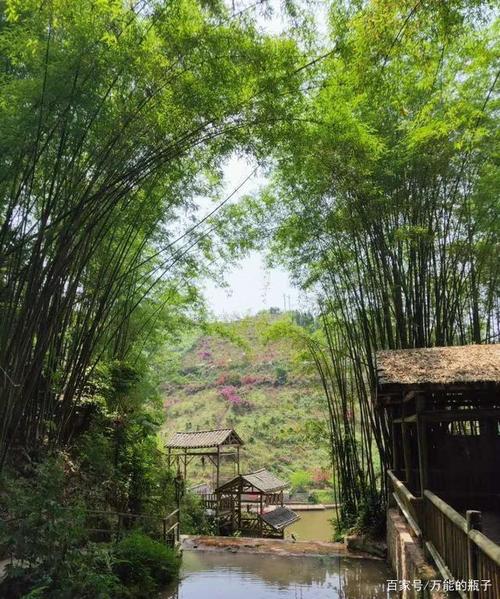 重庆农家乐的风景远离市中心,靠近自然,或者这种环境