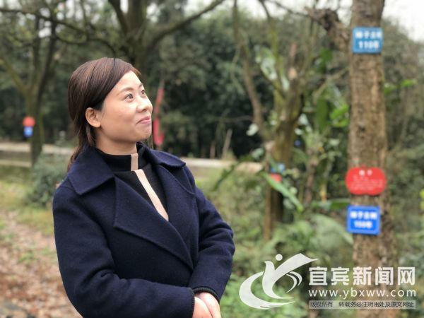 柿子树下的第一书记张洋.(程文帝 摄)