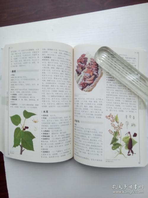 看图识百草活用民间中草药