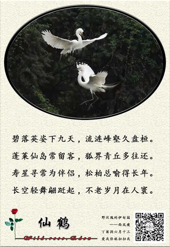 小诗词·仙鹤