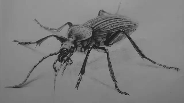 未经允许转载,一律视为抄袭▼▼▼点击阅读原文,在手机上学画画!