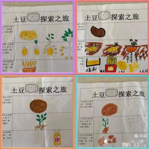 呀!土豆——记南通阳光城堡幼儿园爱丁堡三班班本课程