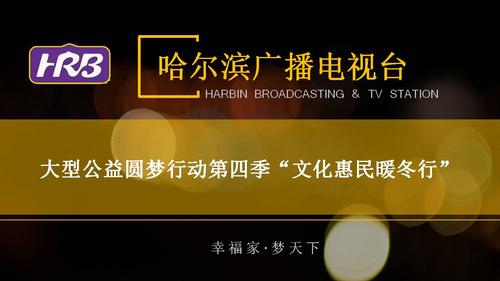 哈尔滨广播电视台圆梦第四季"文化惠民暖冬行",为爱发声!