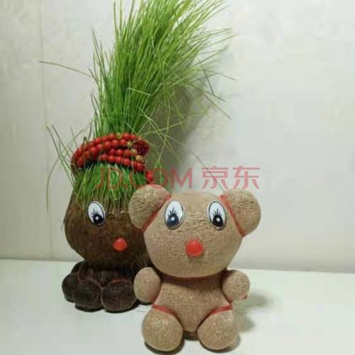 长草娃娃水培桌面迷你花卉盆栽青草办公室净化空气儿童礼品 嘟嘟熊 不