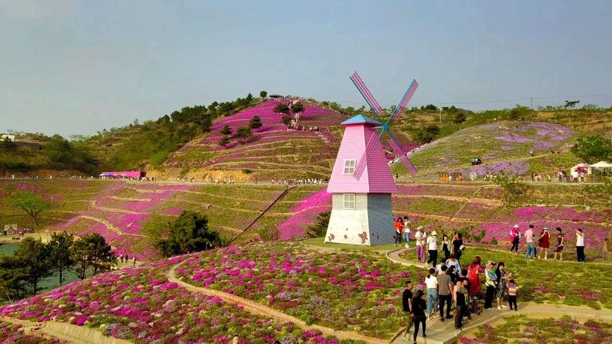 2020年五月行摄迁西雨花谷薰衣草庄园