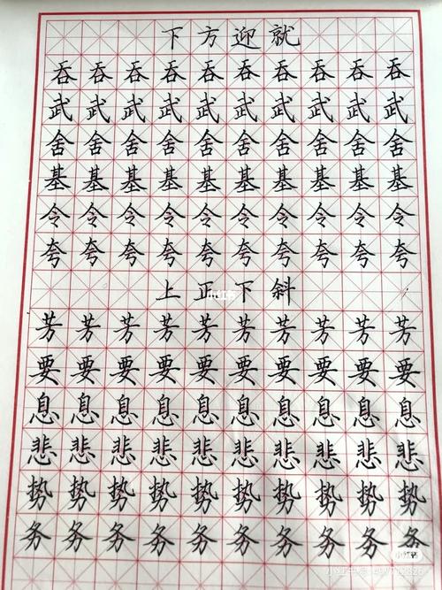 硬笔楷书练习让志向成为你的第二天性_楷书_书法_修身